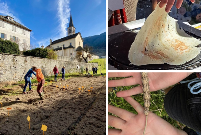 Schermata 2025 10 07 alle 09.27.43