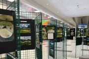 Locarnese in mostra a Crevoladossola: il viaggio fotografico di Boraschi e Map