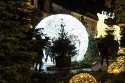 AroNatale 2025: svelato il programma. Accensione del grande albero il 22 novembre