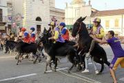 Cameri, a settembre torna la festa patronale con il palio degli asini