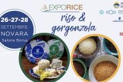 Novara, torna "ExpoRice" nella nuova versione "Riso e gorgonzola"